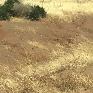 Meet your Posher, Yousra